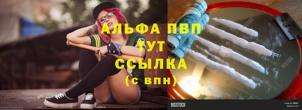 винт Каменка