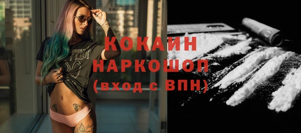винт Каменка