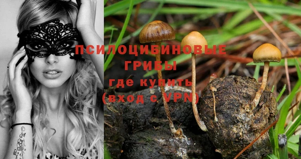 дмт Каменногорск