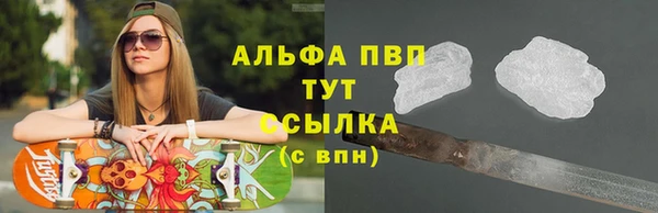 винт Каменка
