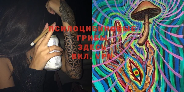 винт Каменка