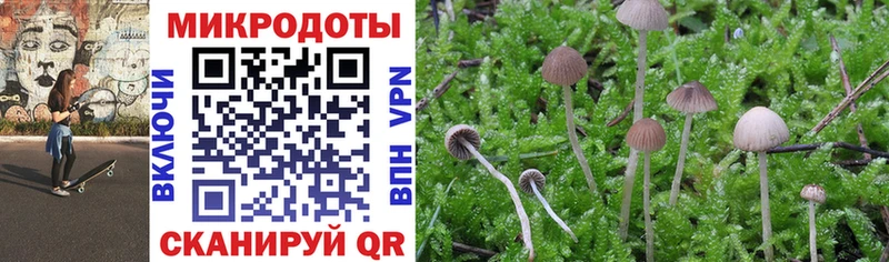 Псилоцибиновые грибы Cubensis  Купить где  Иваново 