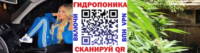 Купить где  Иваново  Канабис сатива 